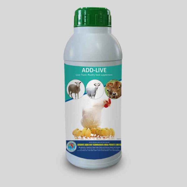 Poultry Liver stimulant