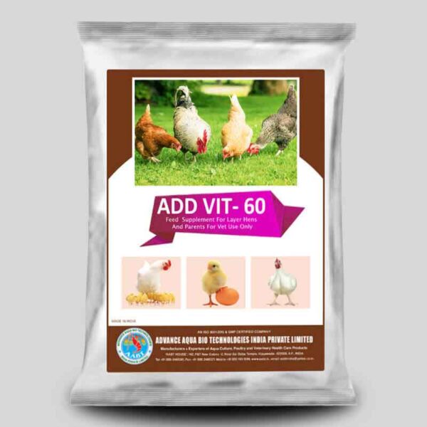 Layer hens Feed supplement
