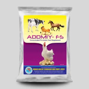 Probiotic Supplement