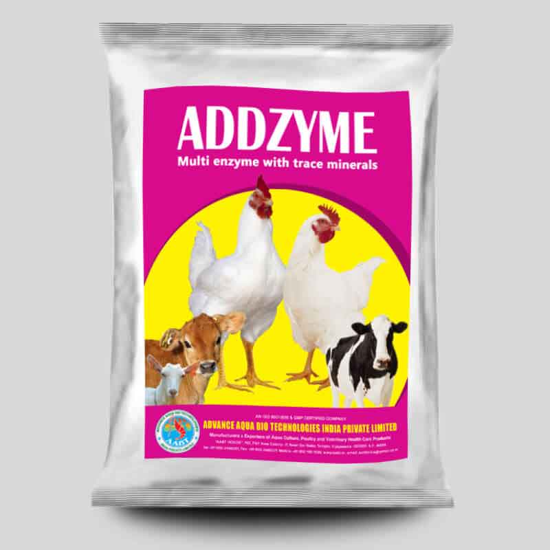 Multi Enzyme For Improved Digestion In Poultry And Livestock