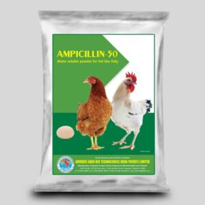 Poultry infections
