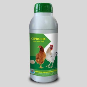 Poultry infections
