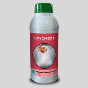 Bacterial infection control