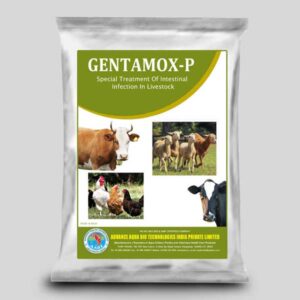 Poultry intestinal infection treatment