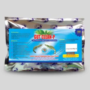 White gut disease controller