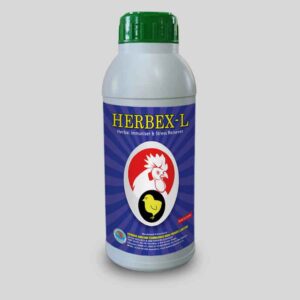 Herbal immunizer