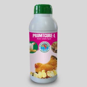 Anti Coccidia for poultry