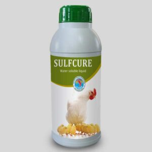 Anti-coccidian for poultry