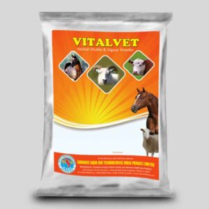 Dairy Cows Reproductive Health
