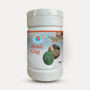 Snail Cap